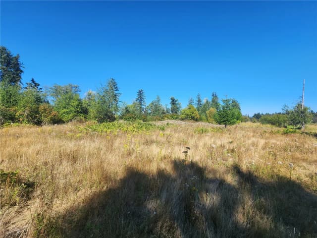 Property photo for 31208 Lebor Devore Road E, Eatonville photo 2