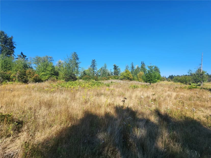 Property photo for 31208 Lebor Devore Road E, Eatonville photo 2