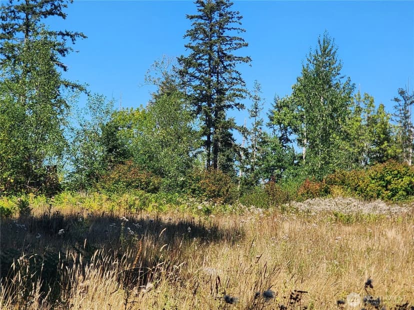 Property photo for 31208 Lebor Devore Road E, Eatonville photo 9