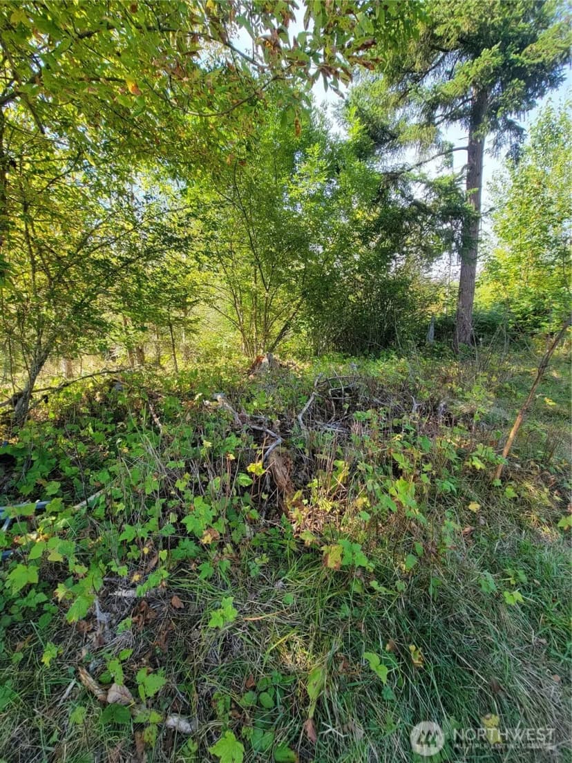Property photo for 31208 Lebor Devore Road E, Eatonville photo 14