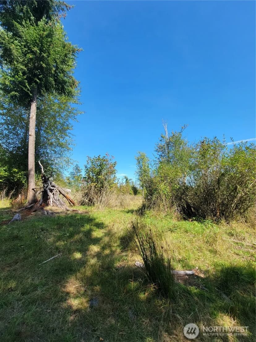 Property photo for 31208 Lebor Devore Road E, Eatonville photo 8