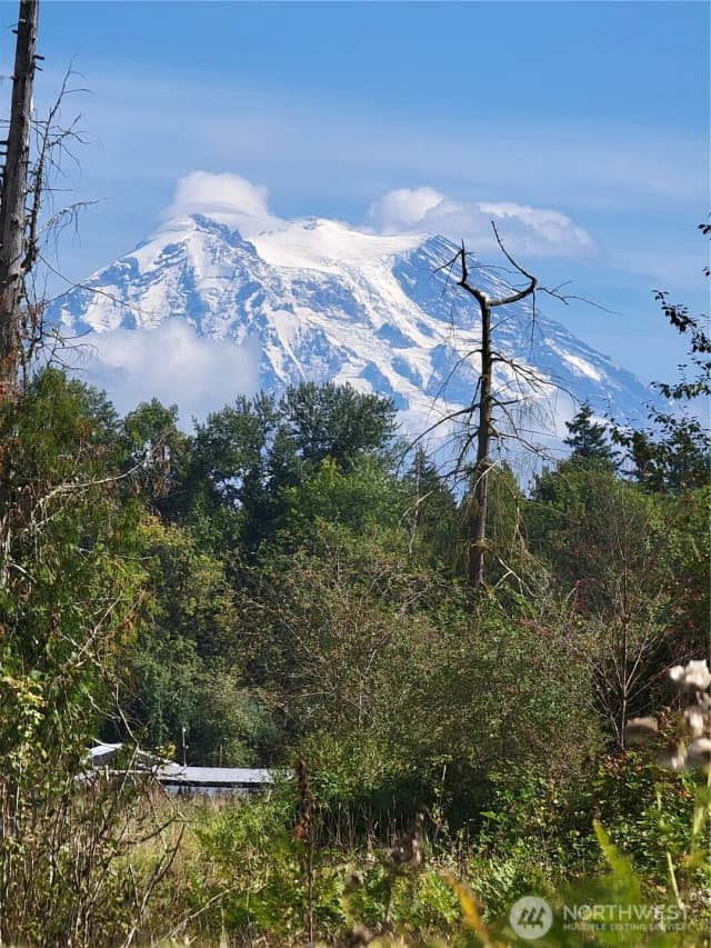 Property photo for 31208 Lebor Devore Road E, Eatonville