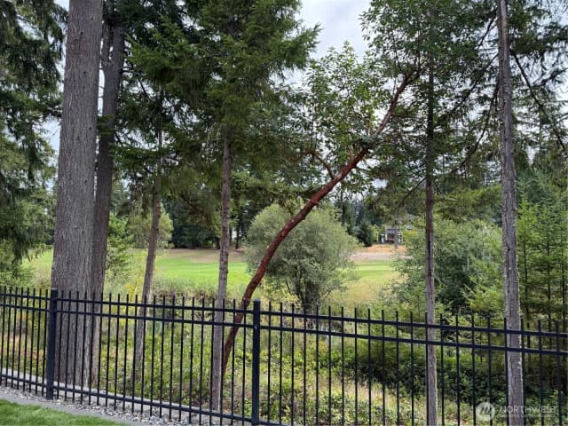 Property photo for 4212 Caddyshack Drive Ne, Lacey photo 3
