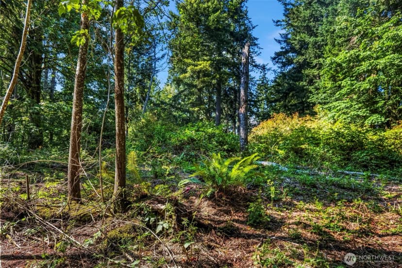 Property photo for 37218 Loki Bluff Drive Ne, Hansville photo 18