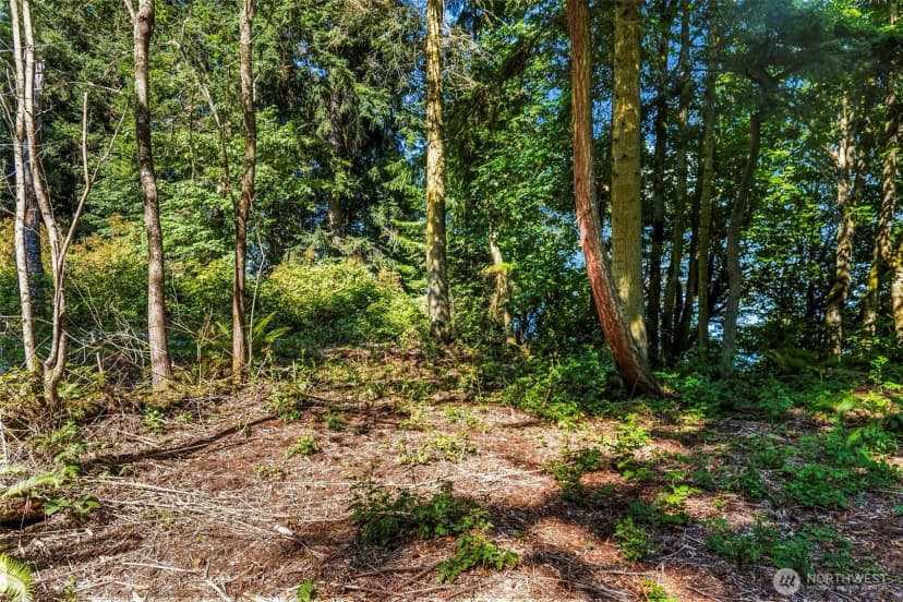 Property photo for 37218 Loki Bluff Drive Ne, Hansville photo 17