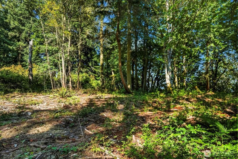 Property photo for 37218 Loki Bluff Drive Ne, Hansville photo 11