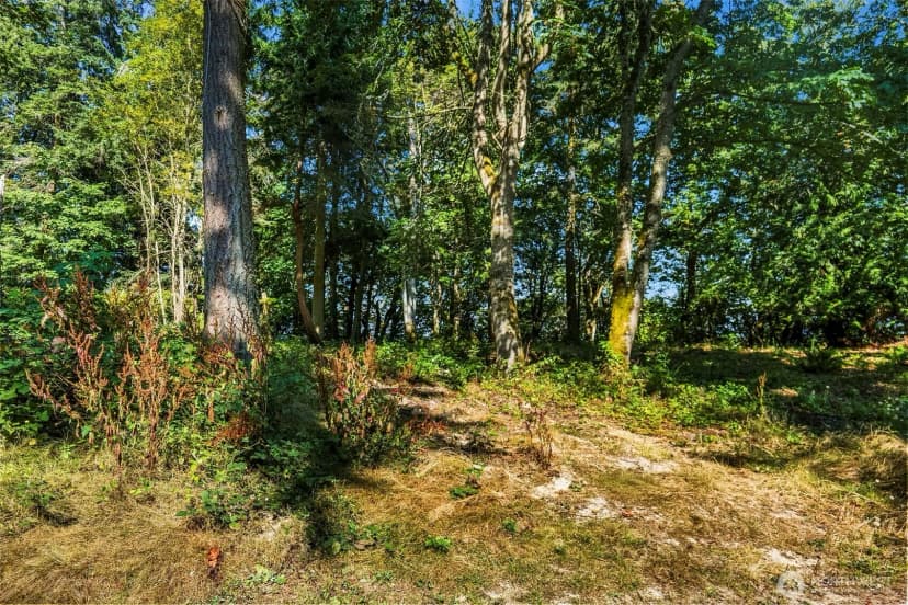 Property photo for 37218 Loki Bluff Drive Ne, Hansville photo 12