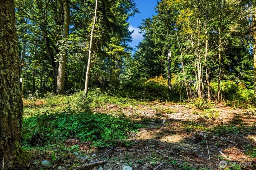Property photo for 37218 Loki Bluff Drive Ne, Hansville photo 10