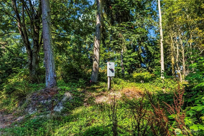 Property photo for 37218 Loki Bluff Drive Ne, Hansville photo 6