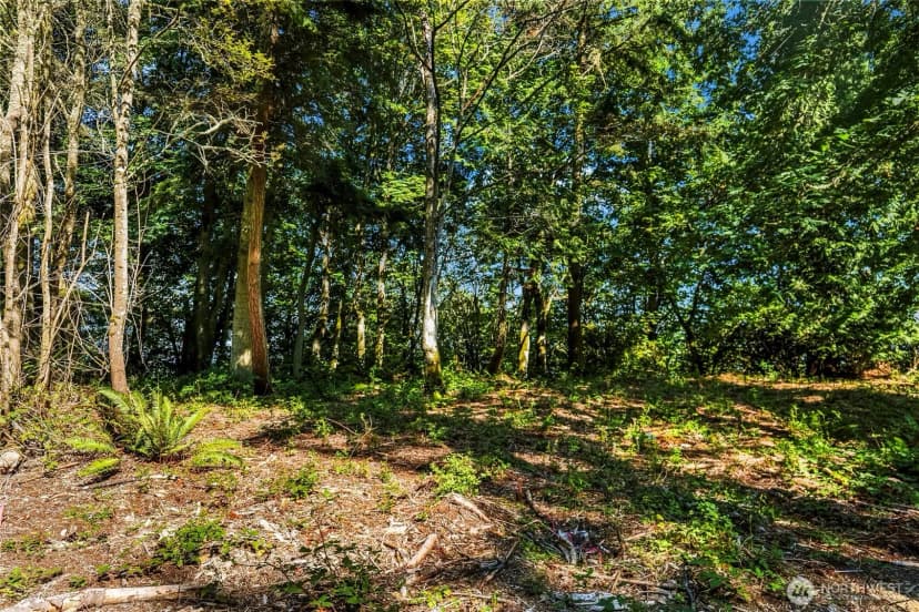 Property photo for 37218 Loki Bluff Drive Ne, Hansville photo 19