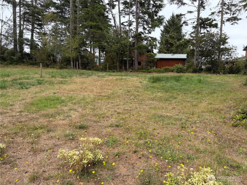 Property photo for 512 Duck Lake Drive Se, Ocean Shores photo 2