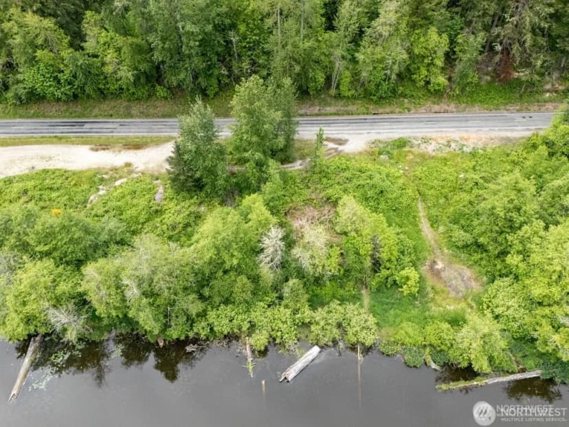 Property photo for 0 (apn#: 041735-3-009) Orville Road E, Eatonville photo 3