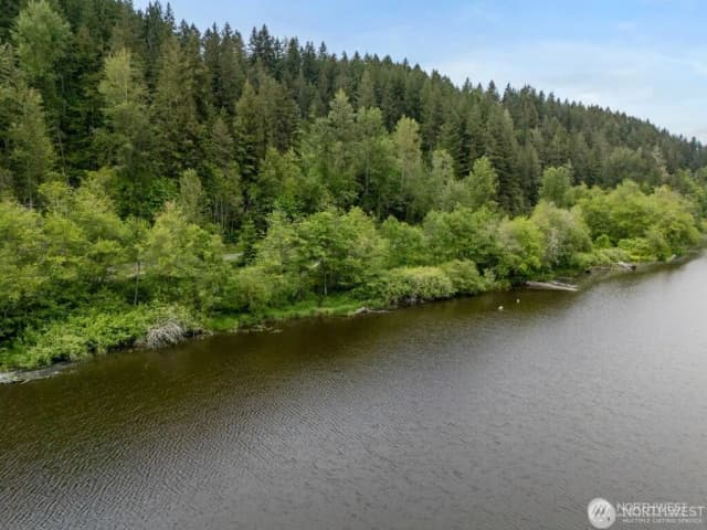 Property photo for 0 (apn#: 041735-3-009) Orville Road E, Eatonville photo 2