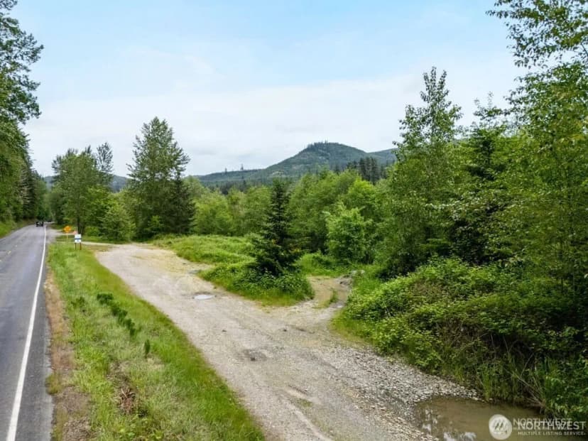 Property photo for 0 (apn#: 041735-3-009) Orville Road E, Eatonville photo 12