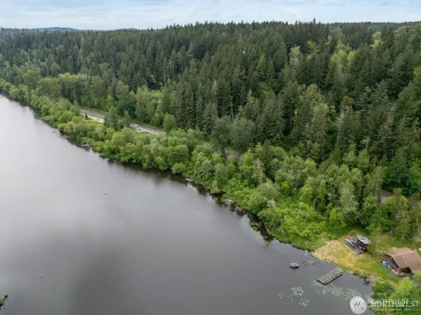 Property photo for 0 (apn#: 041735-3-009) Orville Road E, Eatonville photo 7