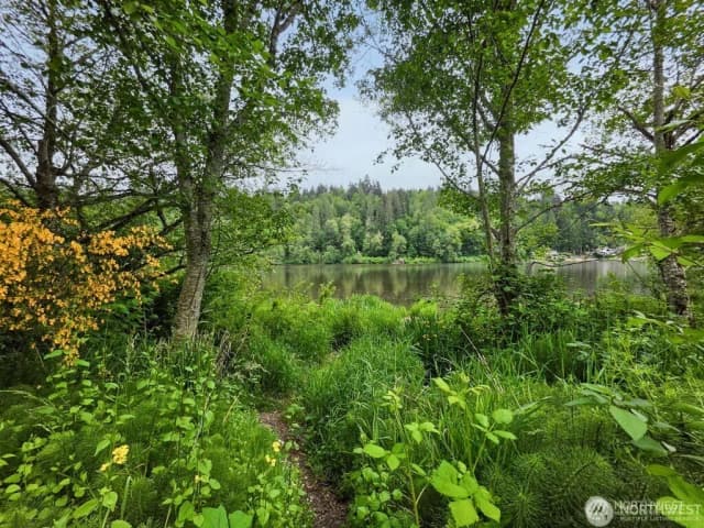 Property photo for 0 (apn#: 041735-3-009) Orville Road E, Eatonville