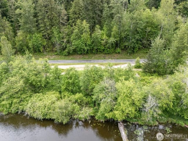 Property photo for 0 (apn#: 041735-3-009) Orville Road E, Eatonville photo 4