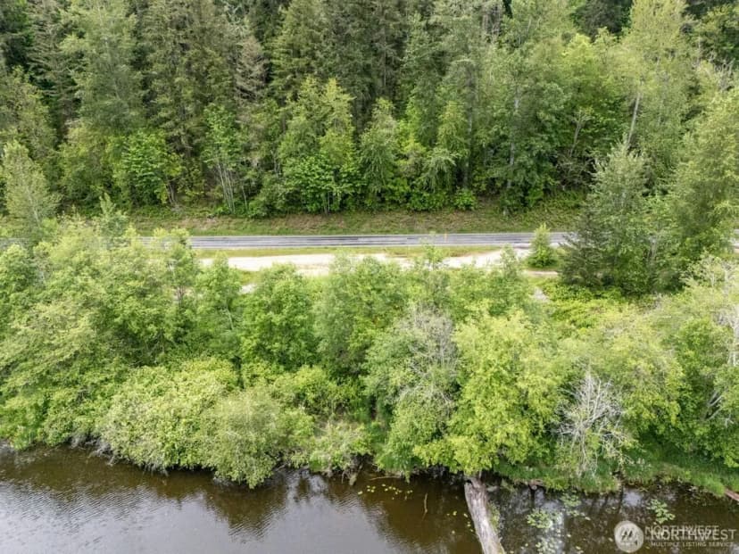 Property photo for 0 (apn#: 041735-3-009) Orville Road E, Eatonville photo 4