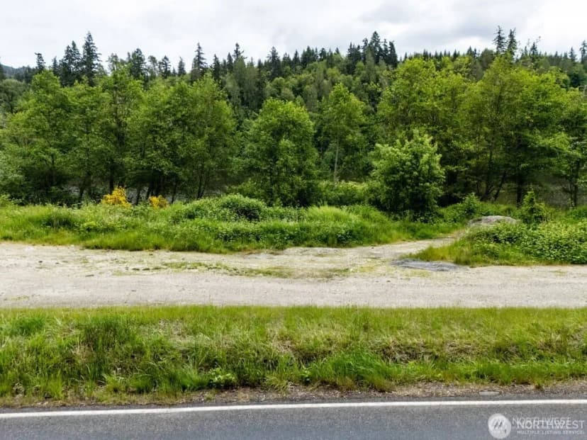 Property photo for 0 (apn#: 041735-3-009) Orville Road E, Eatonville photo 17