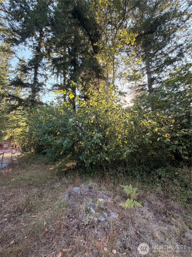 Property photo for 15620 Goldbar Drive, Gold Bar photo 3