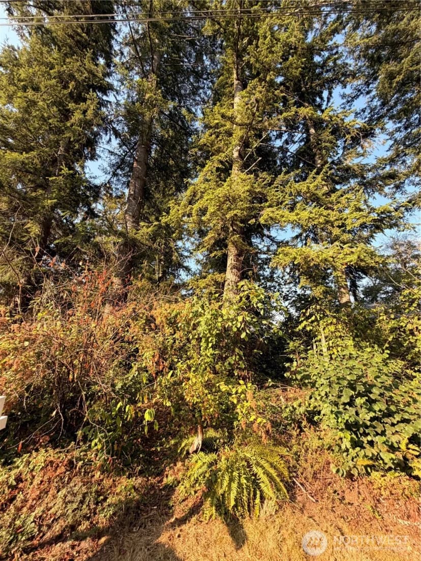 Property photo for 15620 Goldbar Drive, Gold Bar