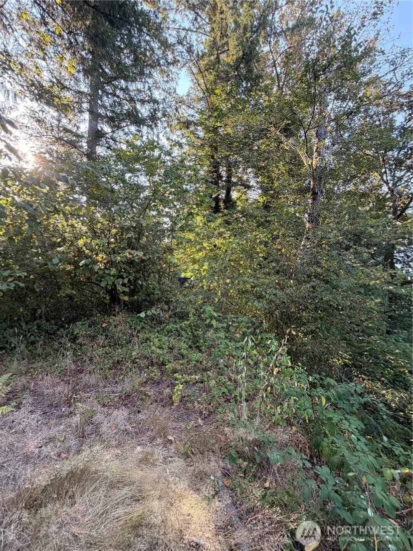 Property photo for 15620 Goldbar Drive, Gold Bar photo 7