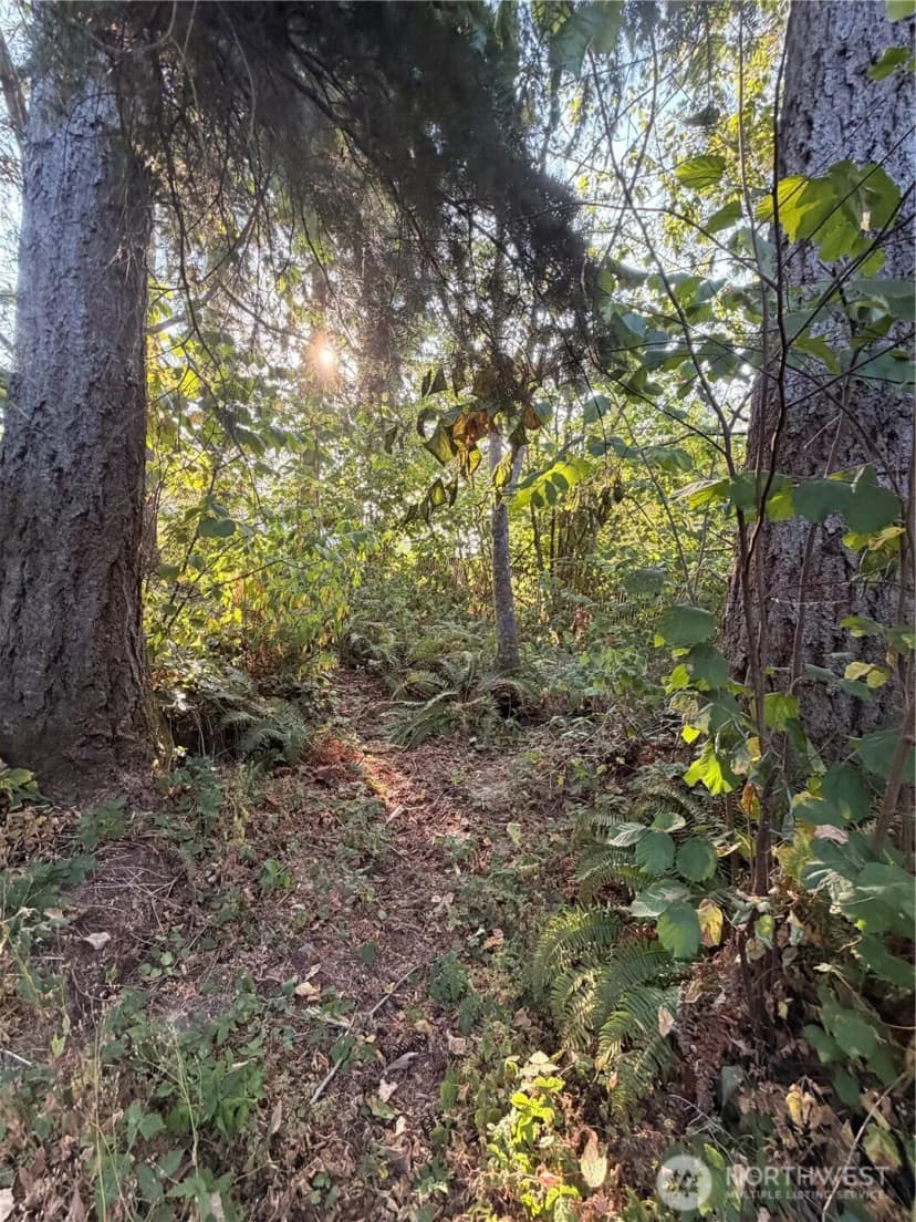 Property photo for 15620 Goldbar Drive, Gold Bar photo 9