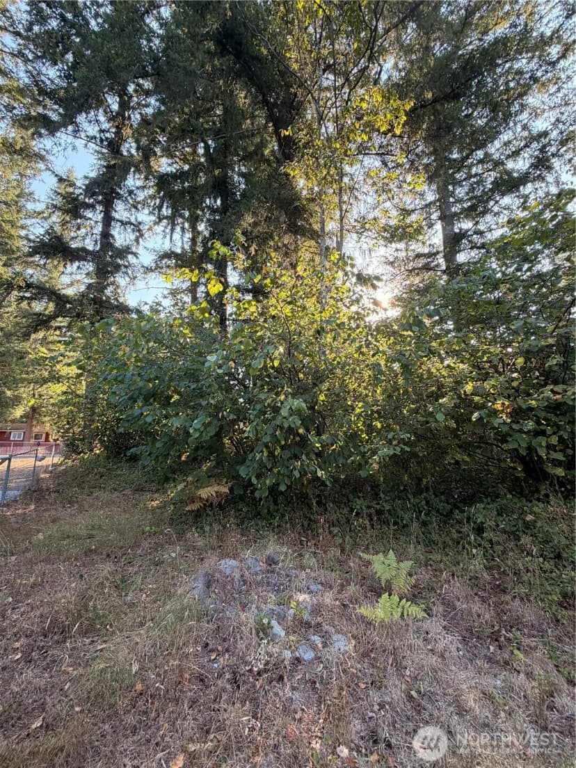 Property photo for 15620 Goldbar Drive, Gold Bar photo 8