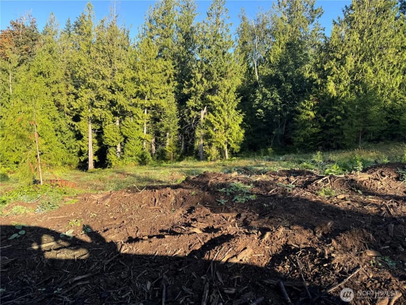 Property photo for 0 N Pass Road, Everson photo 6