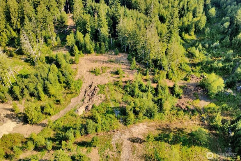 Property photo for 0 N Pass Road, Everson photo 14