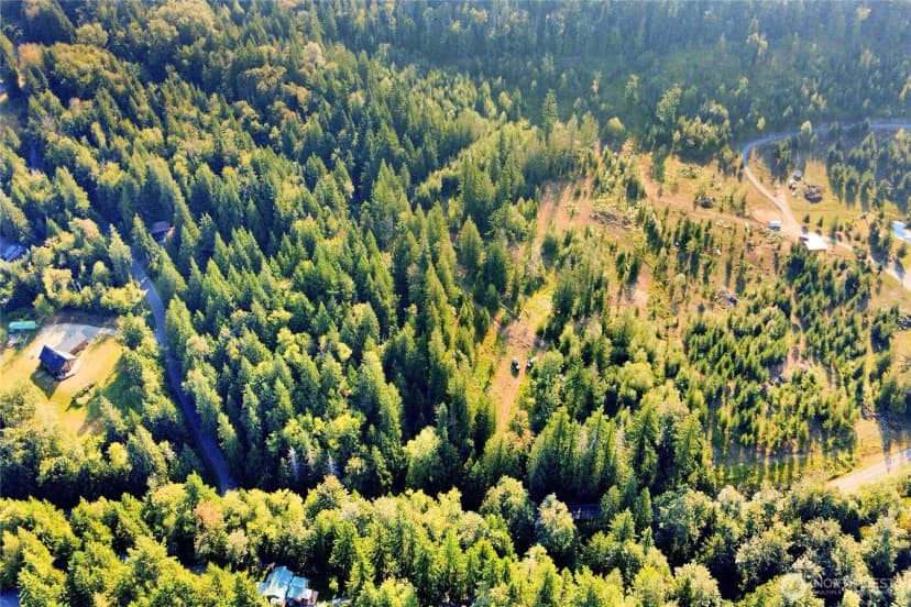 Property photo for 0 N Pass Road, Everson photo 16