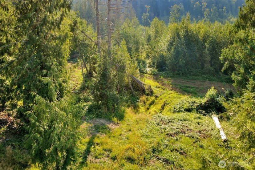 Property photo for 0 N Pass Road, Everson photo 11
