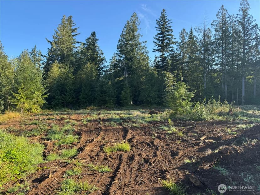 Property photo for 0 N Pass Road, Everson photo 10