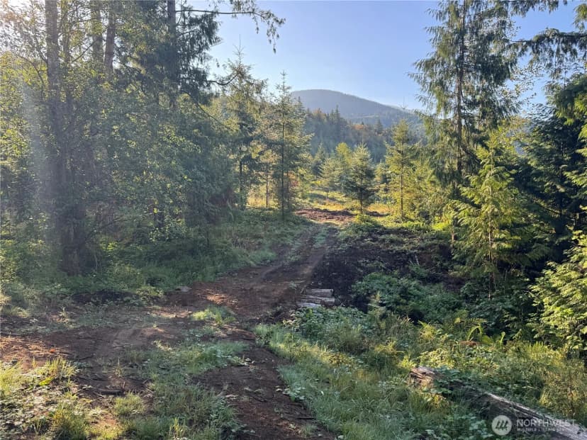 Property photo for 0 N Pass Road, Everson photo 8