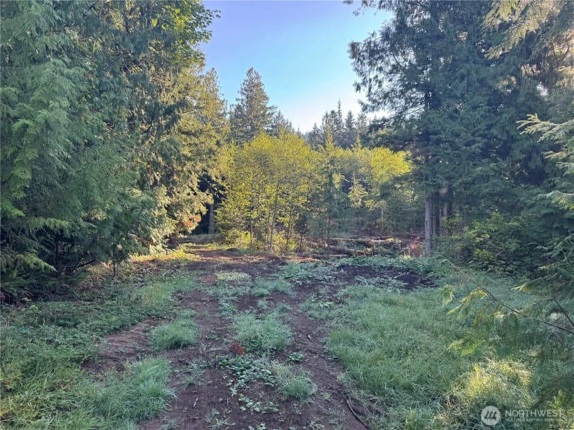 Property photo for 0 N Pass Road, Everson photo 7