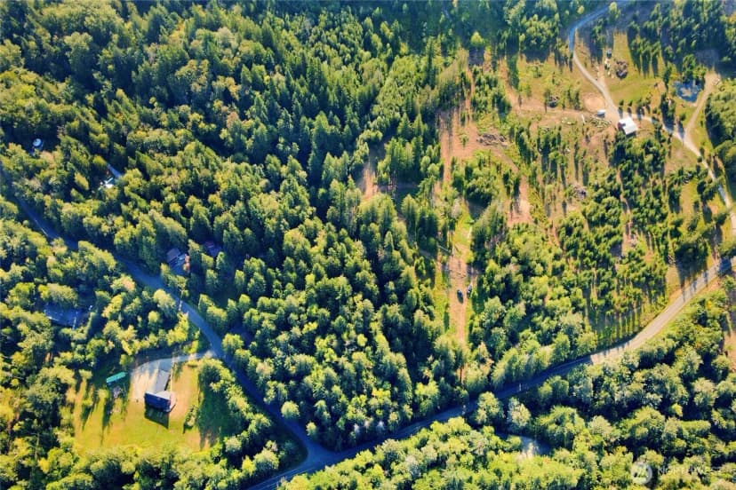 Property photo for 0 N Pass Road, Everson photo 19