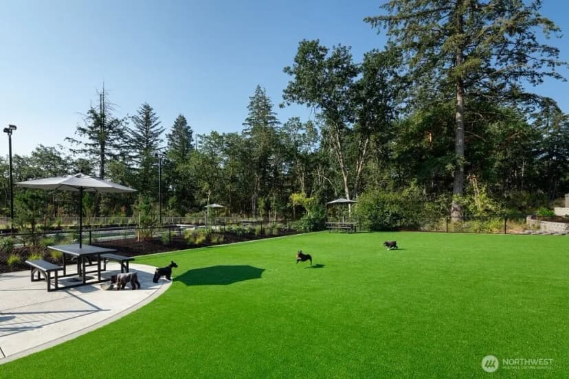 Property photo for 2923 Balsamroot Drive Se, Lacey photo 11