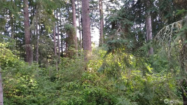 Property photo for 12106 Sound Drive, Anderson Island photo 2