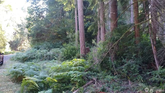 Property photo for 12106 Sound Drive, Anderson Island