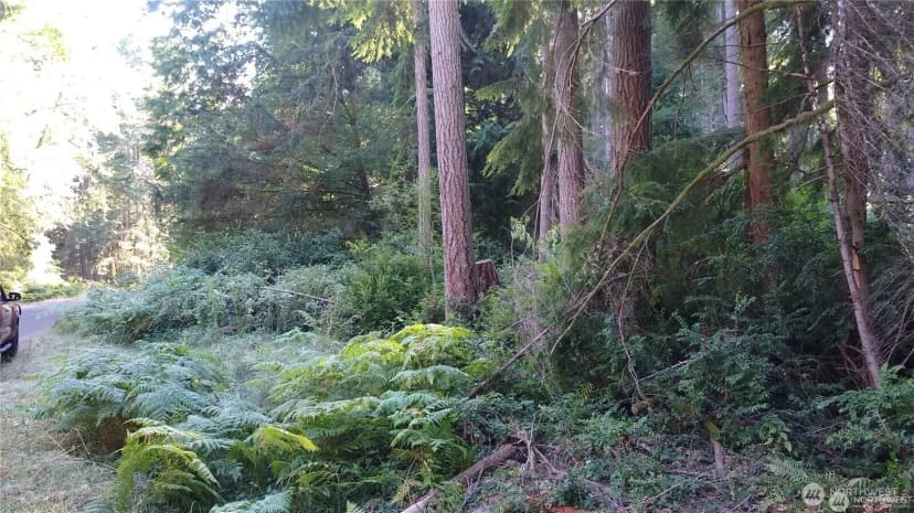 Property photo for 12106 Sound Drive, Anderson Island