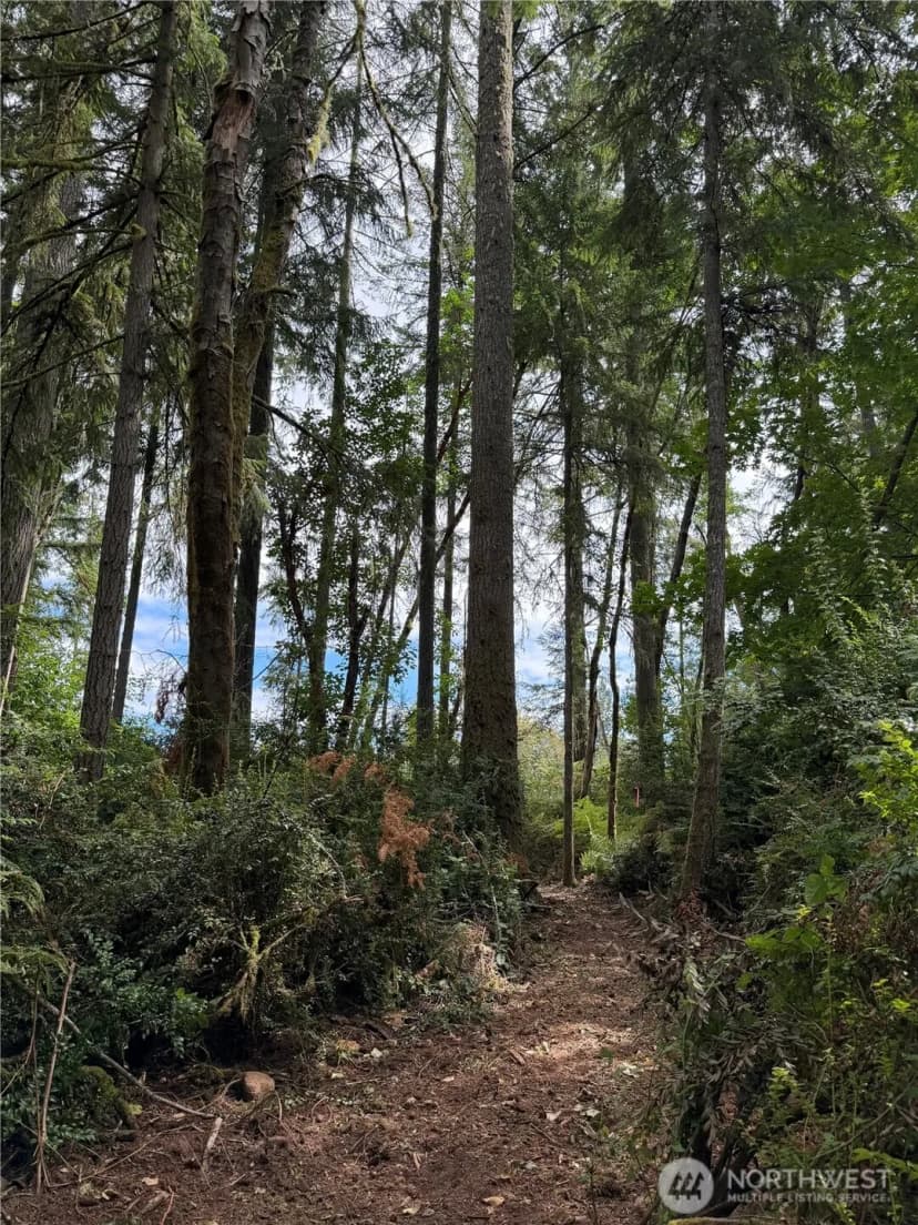 Property photo for 13220 Sw 244th St, Vashon photo 14