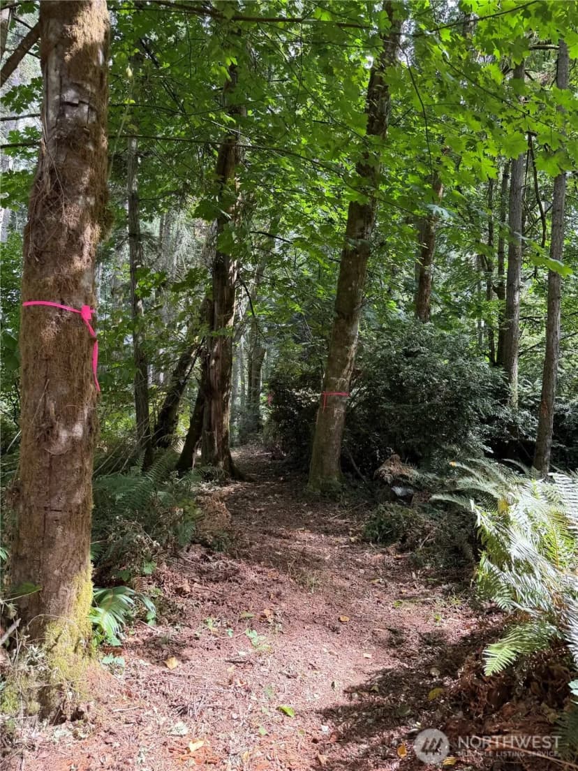 Property photo for 13220 Sw 244th St, Vashon photo 11