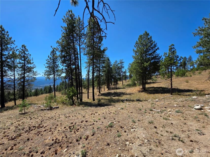 Property photo for 147 W High Country Drive, Tonasket photo 8