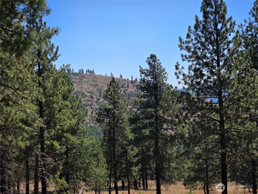 Property photo for 147 W High Country Drive, Tonasket photo 10