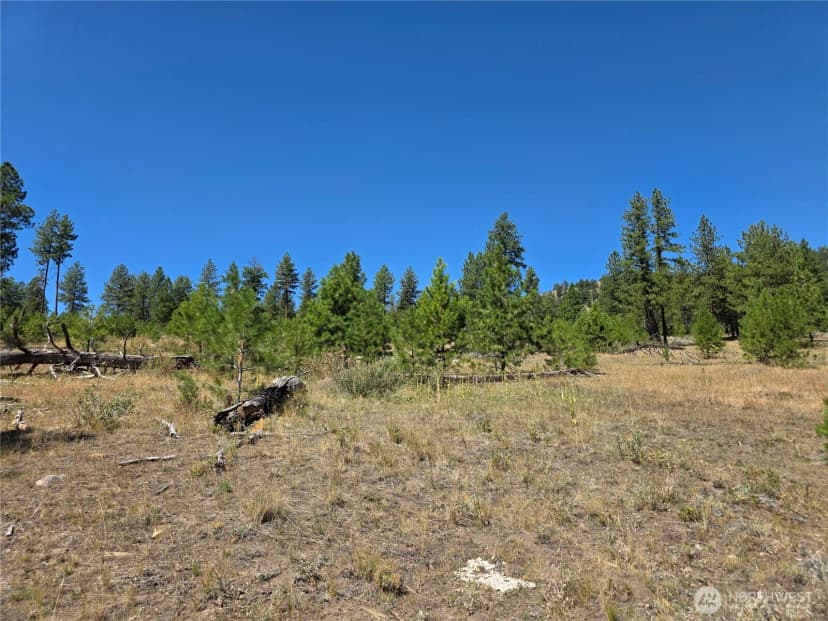 Property photo for 147 W High Country Drive, Tonasket photo 16