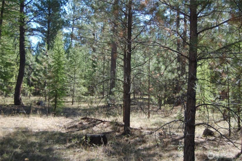Property photo for 144 Cheif Joseph Trail, Riverside photo 10