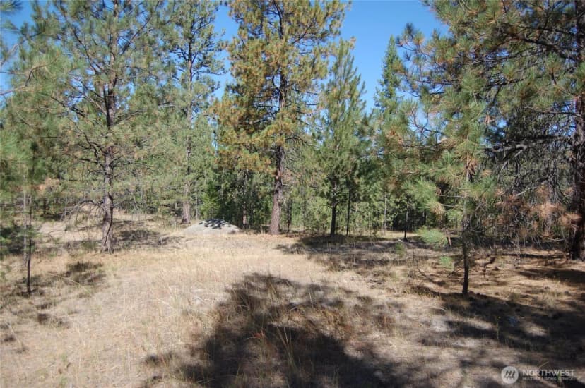 Property photo for 144 Cheif Joseph Trail, Riverside photo 12