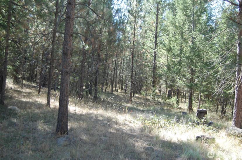 Property photo for 144 Cheif Joseph Trail, Riverside photo 9