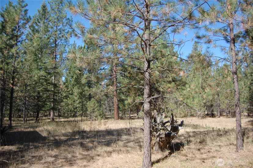 Property photo for 144 Cheif Joseph Trail, Riverside photo 11