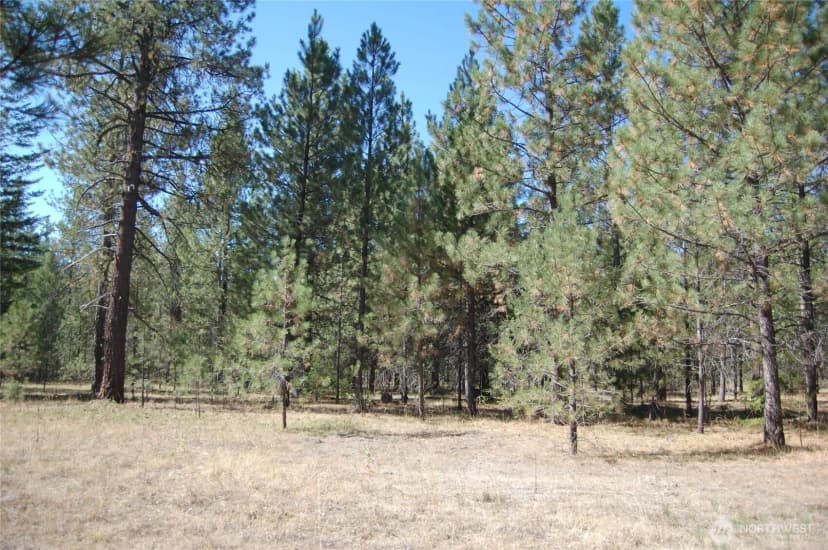 Property photo for 144 Cheif Joseph Trail, Riverside photo 14